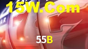Premium Interface 55B