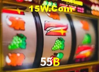 Sistemas de Segurança 55B