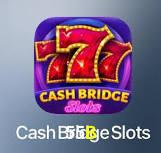 55B.Com